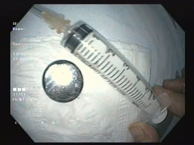 di-vat-2.jpg