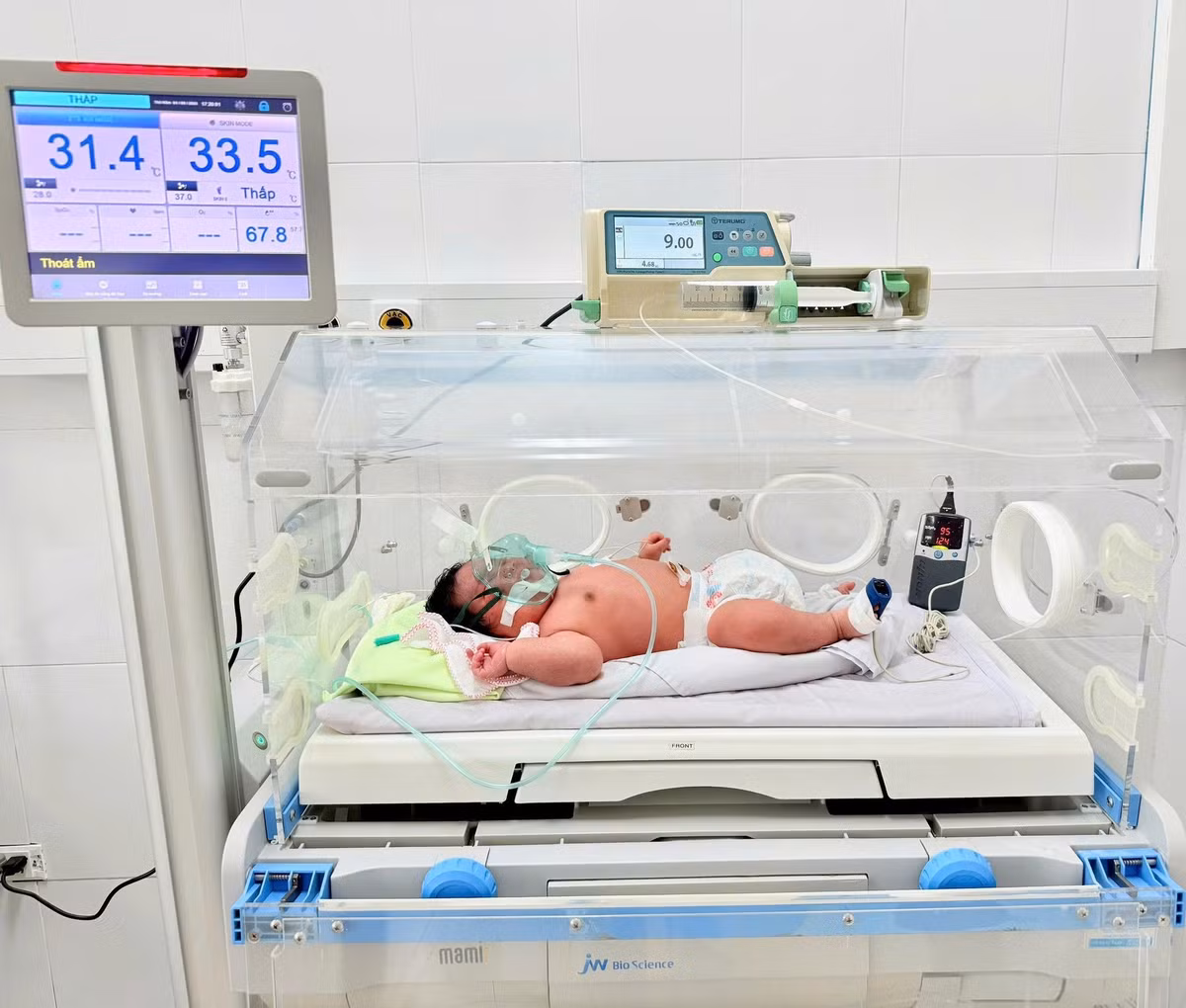 be-66-kg1.jpg