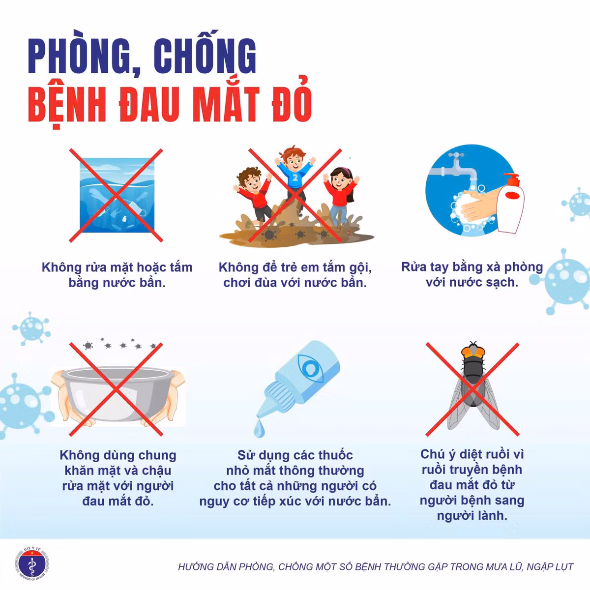 mua-lut-bao-lu-5.jpg