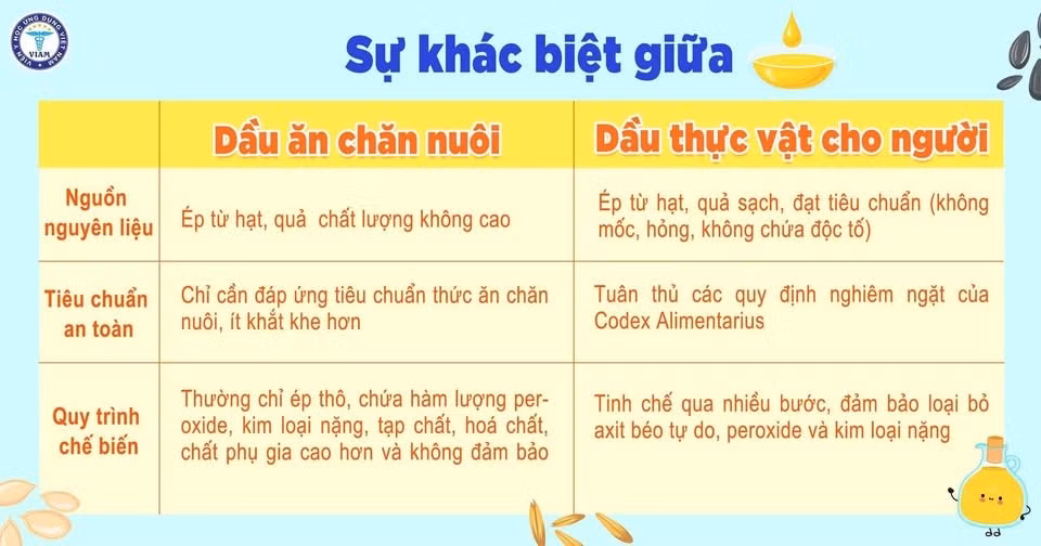 500478192-2918899971627427-6073466418920367295-n.jpg
