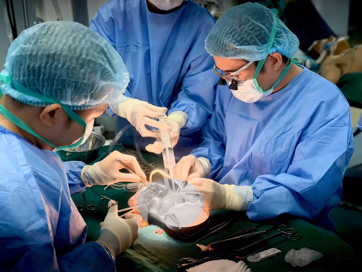 hien-nao-6.jpg