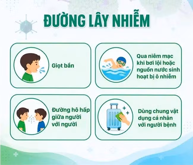 ho-hap-nhi.jpg