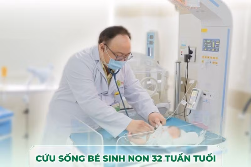 so-sinh-9517.jpg