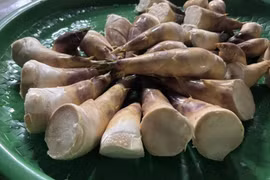 Thái Nguyên bứt phá kinh tế nhờ mô hình trồng măng Lục Trúc