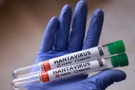Giới chuyên gia đánh giá virus Hanta không có khả năng gây đại dịch toàn cầu