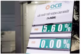 Nỗ lực giữ ổn định lãi suất