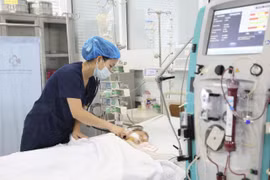 Cứu sống bé trai 15 tháng tuổi bị ong vò vẽ đốt 60 nốt, suy đa cơ quan