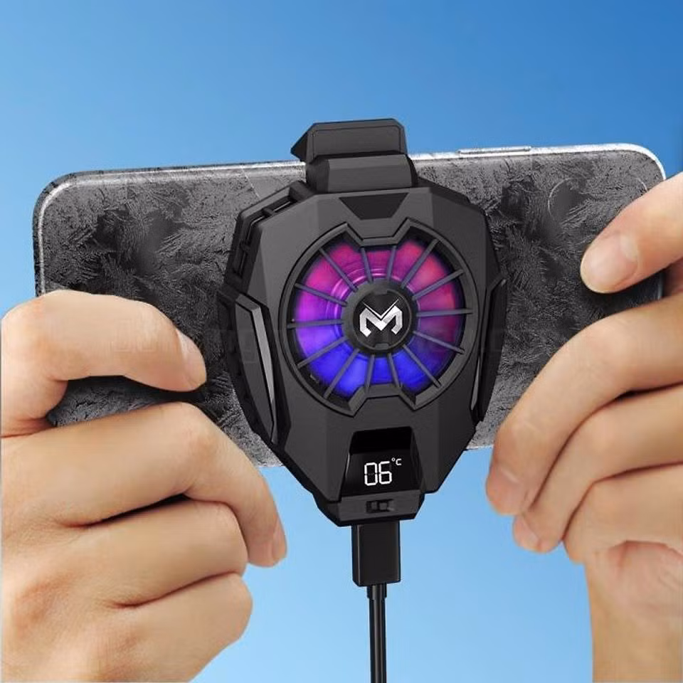 z6600803536668-23fa77f559627d07d81da89b81163125.jpg