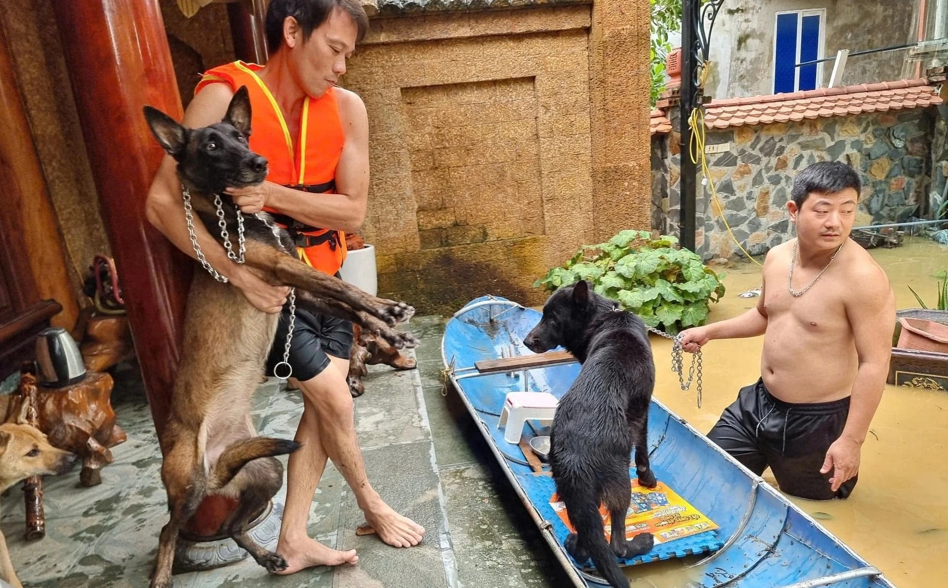Tan chảy trước loạt ảnh giải cứu động vật mùa lũ
