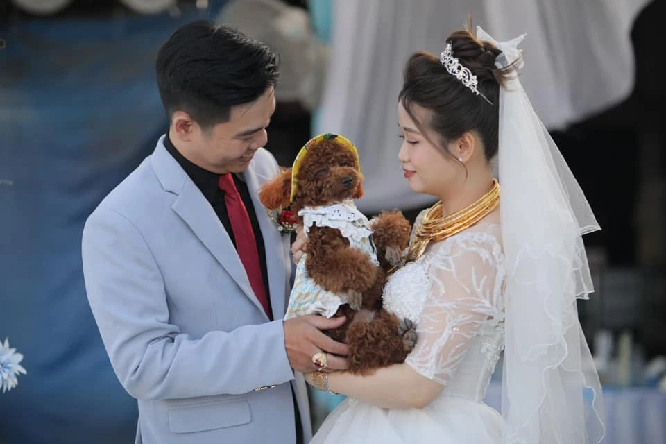 Tan chảy trước loạt “khách mời” đặc biệt trong ngày cưới