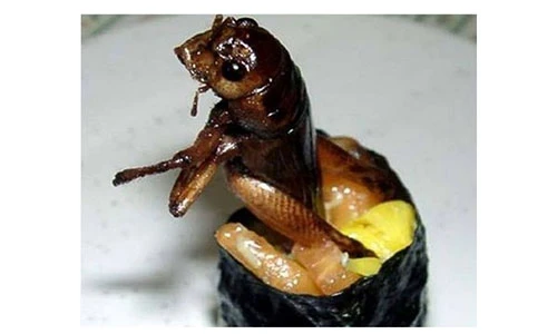 Những món sushi kì dị và khó nuốt nhất Nhật Bản