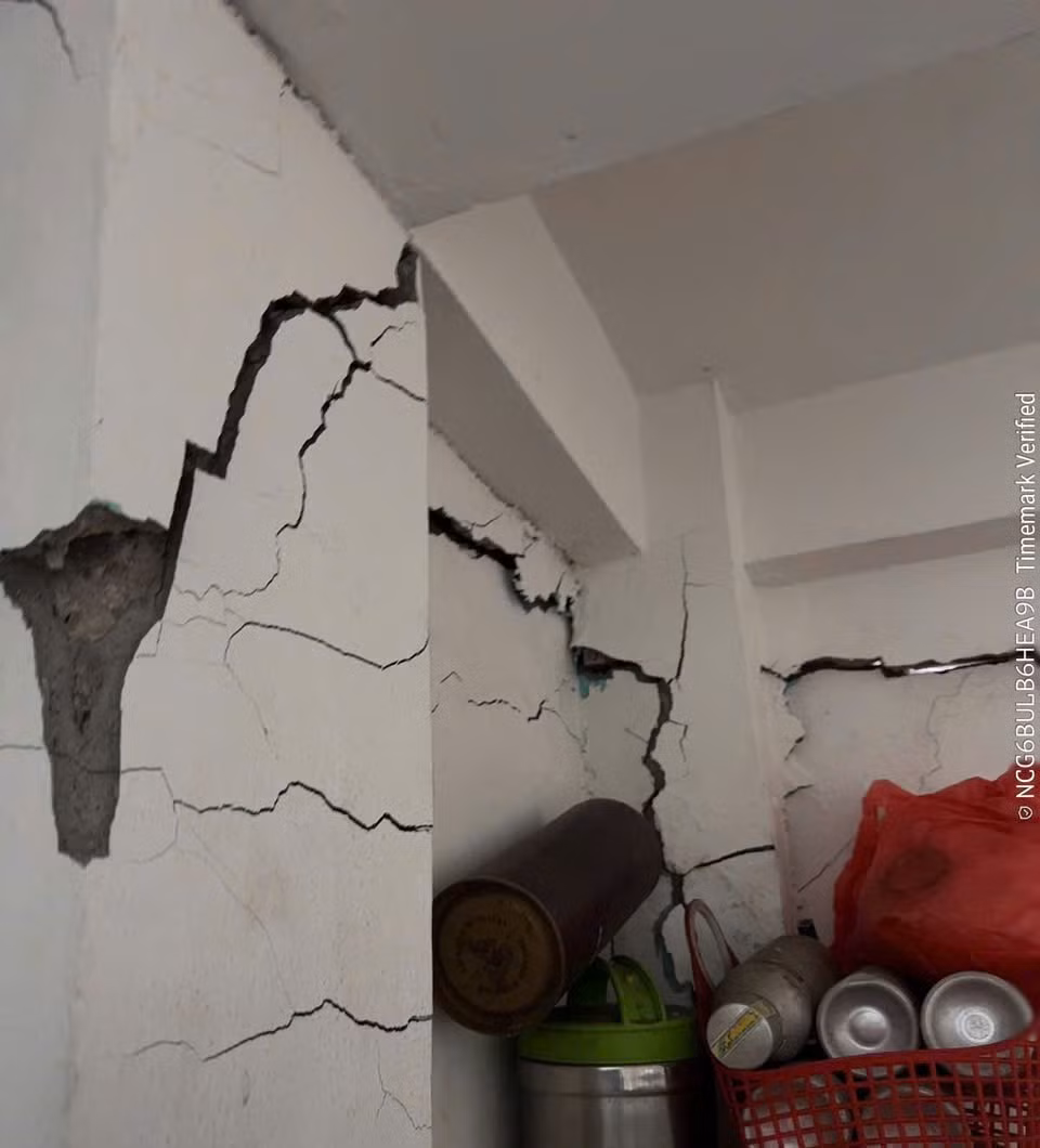 6b6f98ec855e0b00524f.jpg