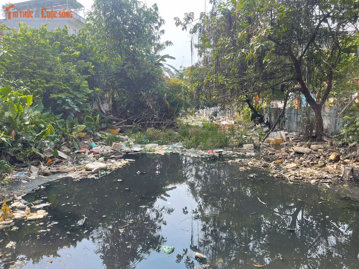 Bà Phạm Thị Nga, người dân sinh sống tại ngõ 39 Tứ Liên, cho biết cứ mỗi khi mưa lớn, gia đình lại thấp thỏm lo nước ngập. "Mưa thì nước cùng rác tràn vào nhà, còn ngày nắng mương bốc mùi rất khó chịu, nhiều hôm phải đóng kín cửa", bà Nga chia sẻ.