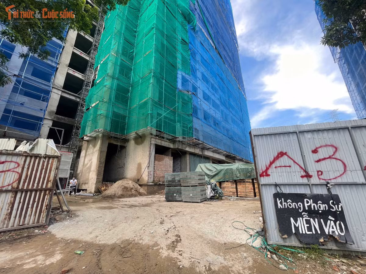 Hai tòa A2 và A3 đang được triển khai cải tạo với quy mô 19 tầng và 1 tầng hầm. Theo phương án chuyển đổi, hai tòa nhà này sẽ cung cấp 768 căn hộ nhà ở xã hội cho thuê, trong đó A2 có 408 căn và A3 có 360 căn.