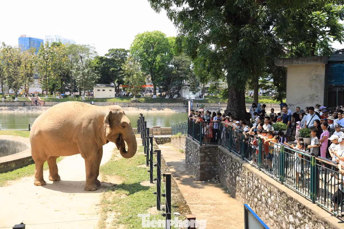 Gallery - Hà Nội trong kỳ nghỉ 2/9: Phố yên bình, công viên tấp nập người dân - image 12