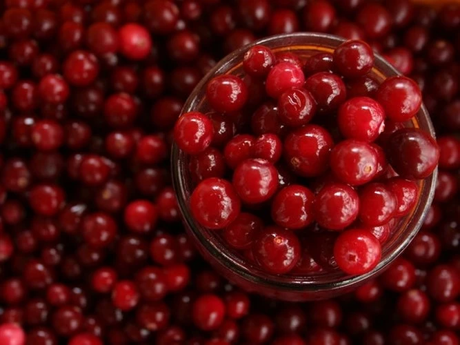 ​8 siêu thực phẩm chống nhiễm trùng đường tiểu