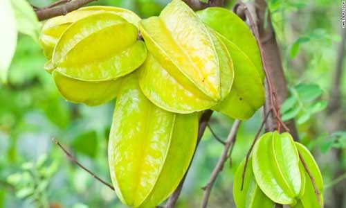 Điểm mặt loạt rau củ quả chứa sẵn độc tố giết người