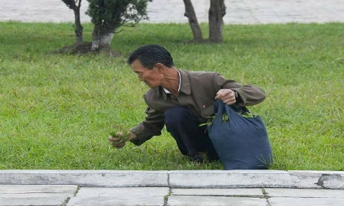 10 bức ảnh chụp lén lột tả cuộc sống ở Triều Tiên