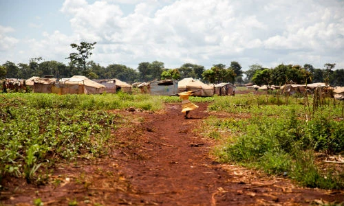Chuyện rùng mình trong trại tị nạn ở Tanzania