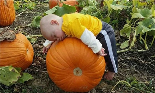 Hài hước những pha ngủ gật đáng yêu của trẻ nhỏ