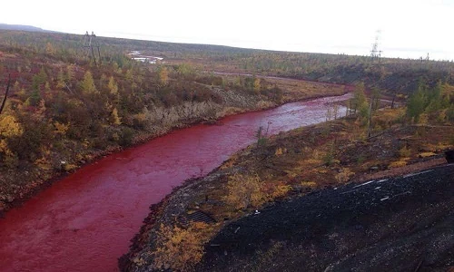 10 điều ít biết về vùng đất Siberia 