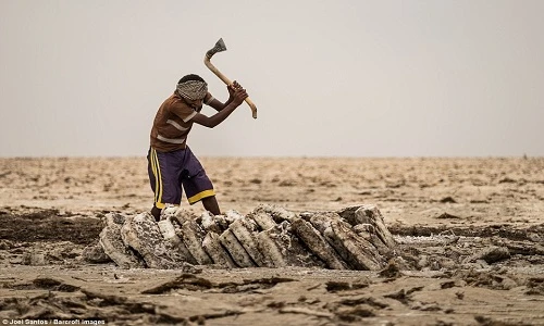 Cảnh lao động nhọc nhằn của thợ mỏ muối Ethiopia