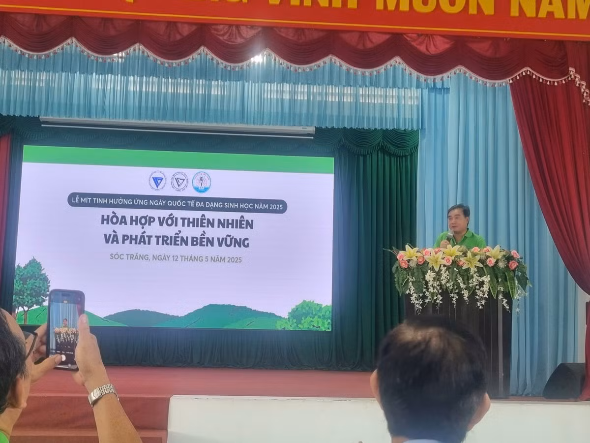 song-xanh-2.jpg