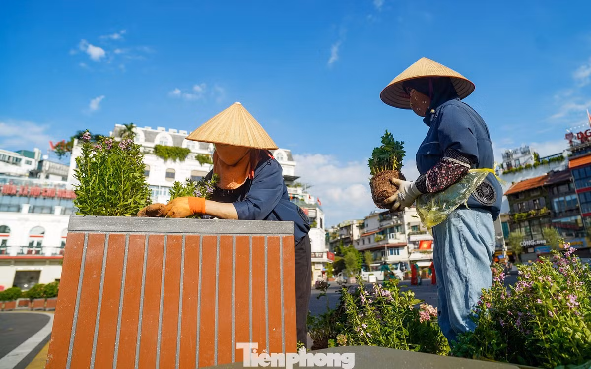 Công tác trồng cây xanh, bố trí chậu cảnh và hoàn thiện các hạng mục cảnh quan tại khu vực quảng trường Đông Kinh Nghĩa Thục vẫn đang được triển khai.