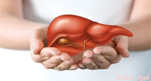 7 bước đơn giản giúp thải độc gan hiệu quả thần kỳ