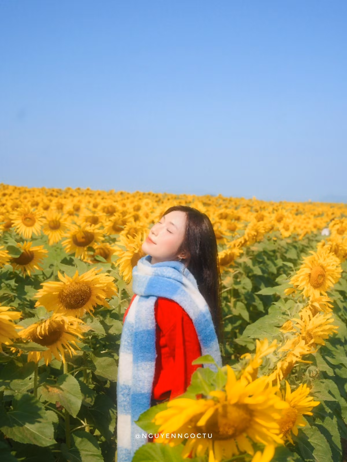 Với những lưu ý trên, chuyến đi đến cánh đồng hoa hướng dương Nghệ An không chỉ là dịp chiêm ngưỡng sắc vàng rực rỡ mà còn là cơ hội tạo ra những bức ảnh check-in để đời. Dù đi một mình, theo nhóm hay cùng gia đình, nơi đây hứa hẹn mang đến trải nghiệm mùa đông vừa thư giãn vừa đầy cảm hứng sáng tạo. Ảnh Nguyễn Ngọc Tú