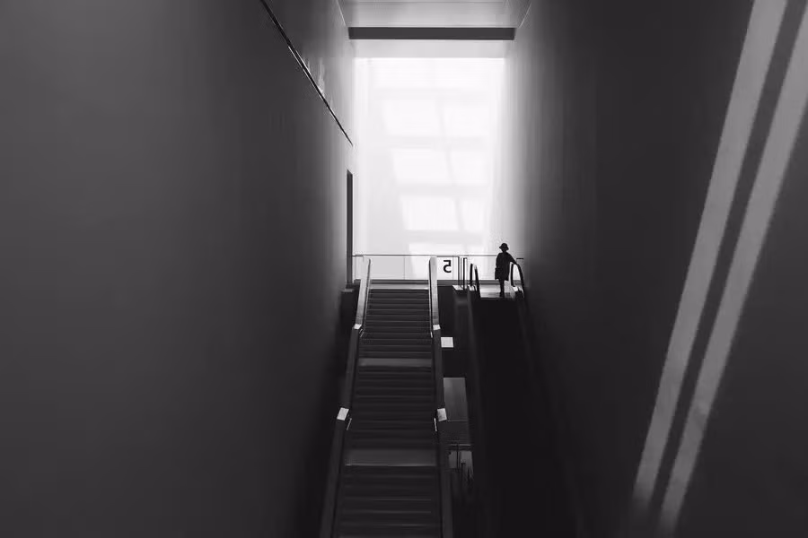 dc914d512309a957f018.jpg