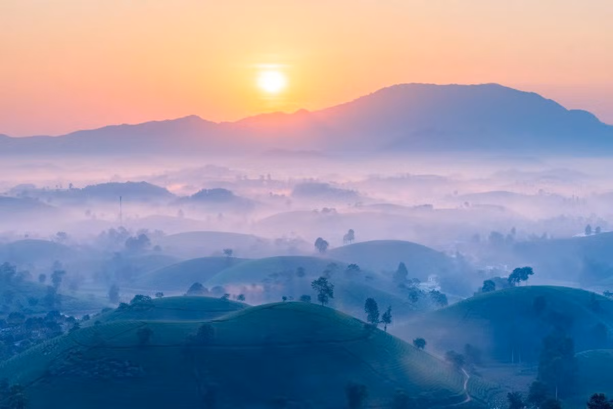 Những tia nắng ấm đầu tiên từ phía chân trời vừa đủ để làm bừng sáng không gian, trong khi sự tĩnh lặng của đồi chè càng làm nổi bật vẻ đẹp huyền bí của thiên nhiên. Ảnh Ngọc Nhất