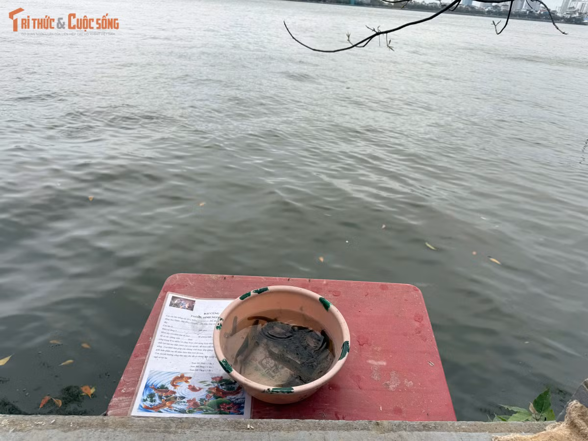 Sau khi dâng hương, không ít người chọn mua cá, ốc để phóng sinh xuống hồ Tây, với niềm tin tích thêm thiện lành cho bản thân và gia đình. Theo một số người bán hàng, giá các loại lươn, cá chạch, cá trê trong ngày Rằm không biến động nhiều so với ngày thường, dao động từ 80.000 đến 220.000 đồng/kg tùy loại.