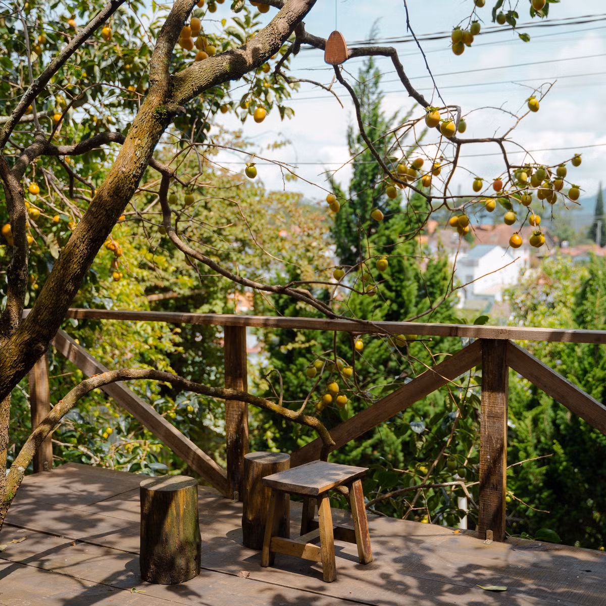 persimmon-cafe.jpg