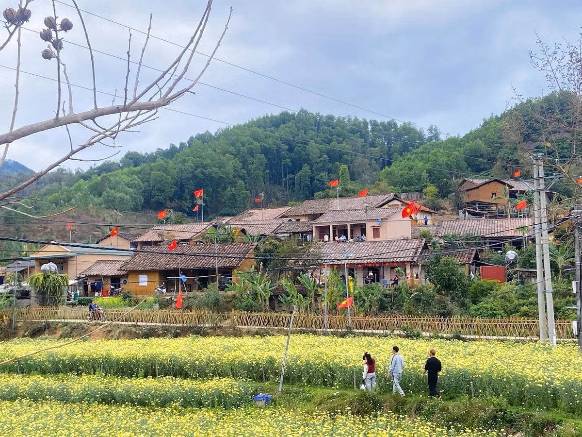 lang-co-bac-hoa.jpg