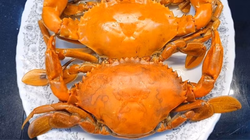 Không chỉ cần chú ý đến từng bộ phận, người ăn cua cũng nên hiểu rằng không phải ai cũng phù hợp với món ăn này. Cua tuy bổ dưỡng nhưng có thể gây hại cho một số nhóm người nếu dùng không đúng cách. Ảnh minh hoạ