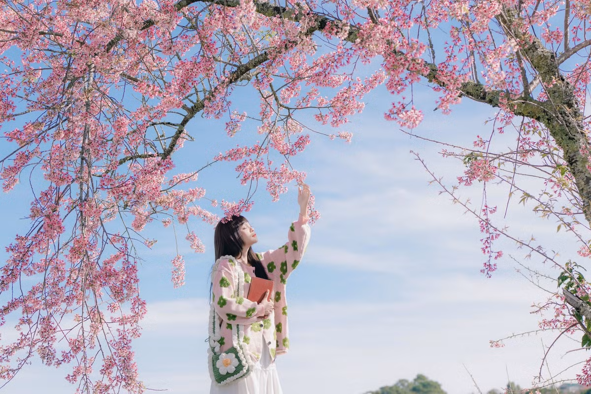 mai-anh-dao.jpg