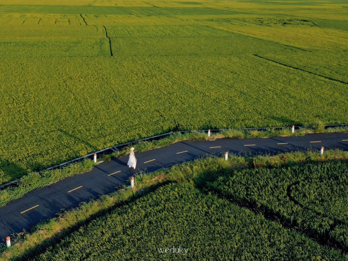 hoang-quyen9.jpg