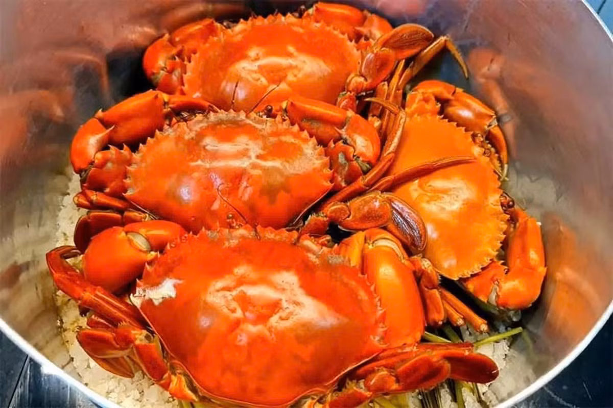 Theo khuyến cáo y tế, những người đang bị cảm lạnh, sốt, đau bụng hoặc tiêu chảy tuyệt đối không nên ăn cua. Tương tự, bệnh nhân mắc viêm loét dạ dày – tá tràng, viêm túi mật, sỏi mật hoặc viêm gan cũng nên hạn chế. Ảnh minh hoạ