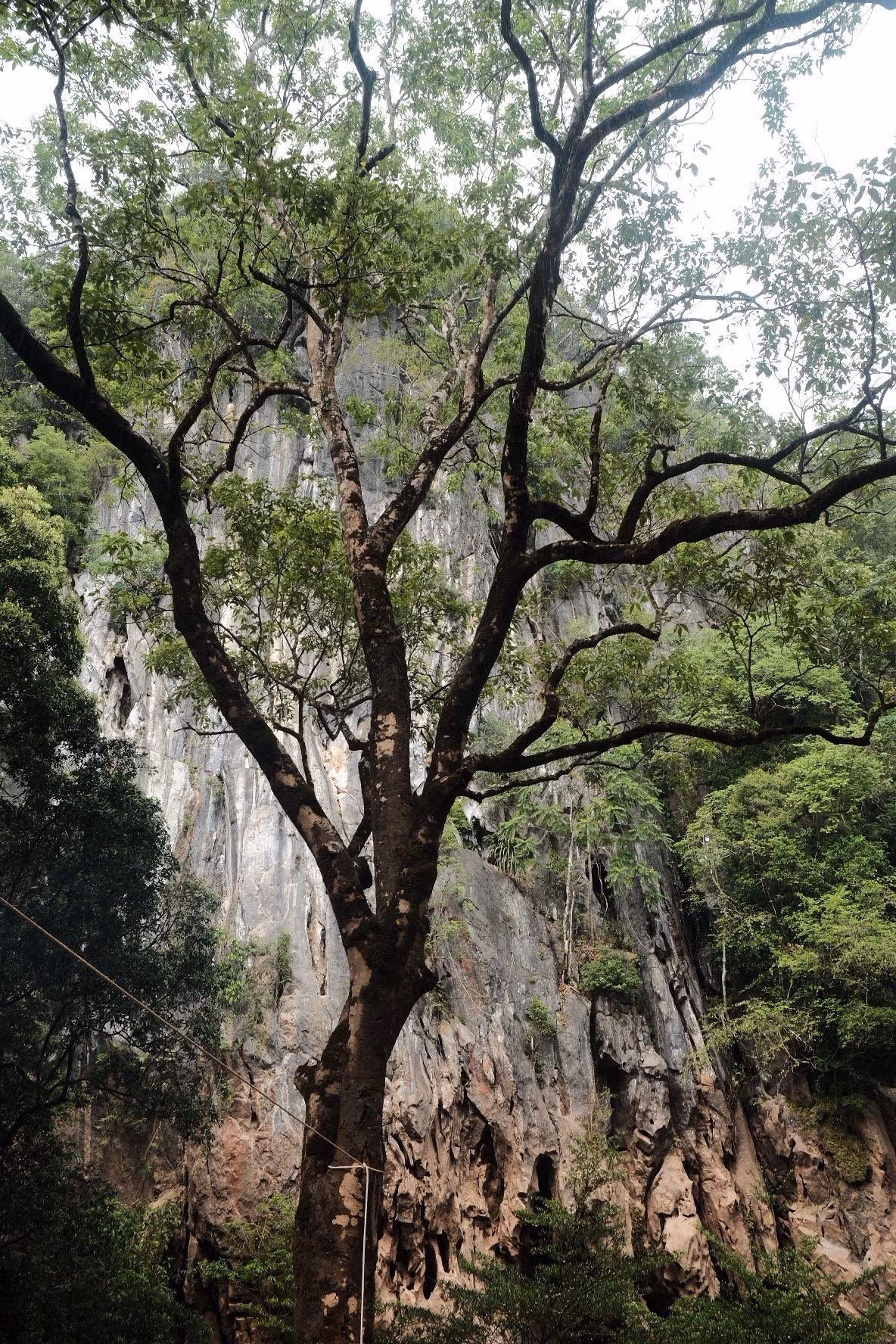 Trekking Hang E là lựa chọn thú vị cho những ai muốn “đổi gió” khỏi các tour du lịch quen thuộc. Không quá mạo hiểm, không quá tốn kém, hành trình này đủ để đưa du khách chạm đến vẻ đẹp tự nhiên hiếm có và nạp đầy năng lượng tích cực giữa mùa hè. Ảnh Thu Huệ