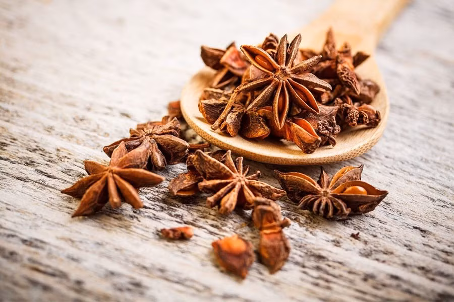 Hiện nay, trên thế giới chỉ có Việt Nam và Trung Quốc có thể trồng hoa hồi với quy mô lớn, biến đây trở thành một trong những loại gia vị hiếm có trên thị trường quốc tế. Ảnh Internet