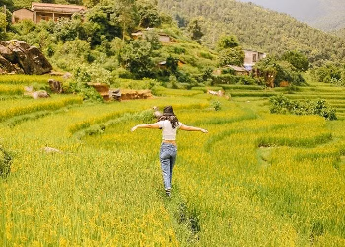canh-dong-mang-ri-kon-tum.jpg