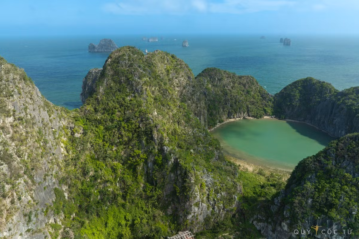 Để chuyến đi thêm phần thuận tiện và trọn vẹn, du khách có thể lựa chọn các tour du lịch chất lượng cao từ các công ty lữ hành uy tín. Saigontourist là một trong những đơn vị được nhiều người tin tưởng với tour Hạ Long – đảo Mắt Rồng kết hợp tham quan các địa danh nổi tiếng như động Thiên Cung, hang Đầu Gỗ và làng chài Cửa Vạn. Tour bao gồm xe đưa đón, hướng dẫn viên chuyên nghiệp, ăn uống và các hoạt động trải nghiệm trên đảo. Giá tour dao động từ 2.000.000 - 12.779.000 đồng/người, tùy thuộc vào loại hình và thời gian lưu trú. Ảnh Ngô Trần Hải An