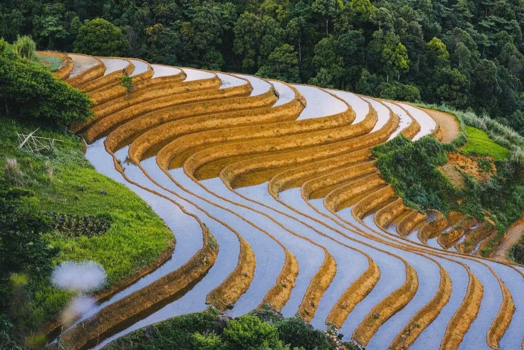 Không khí trong lành kết hợp với cảnh sắc hữu tình khiến nơi đây trở thành một thiên đường bình yên, nơi du khách có thể hòa mình vào thiên nhiên, thư giãn và tận hưởng khoảnh khắc tĩnh lặng. Ảnh Tà Xùa