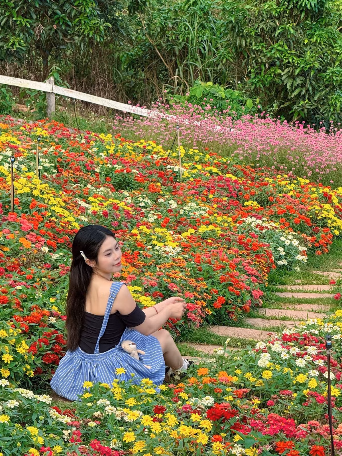 Không chỉ có sắc hoa, khuôn viên còn được bài trí thêm nhiều tiểu cảnh nhỏ nhắn như hàng rào trắng, ghế gỗ giữa đồi hay quán cà phê phong cách châu Âu. Ảnh Khánh Linh