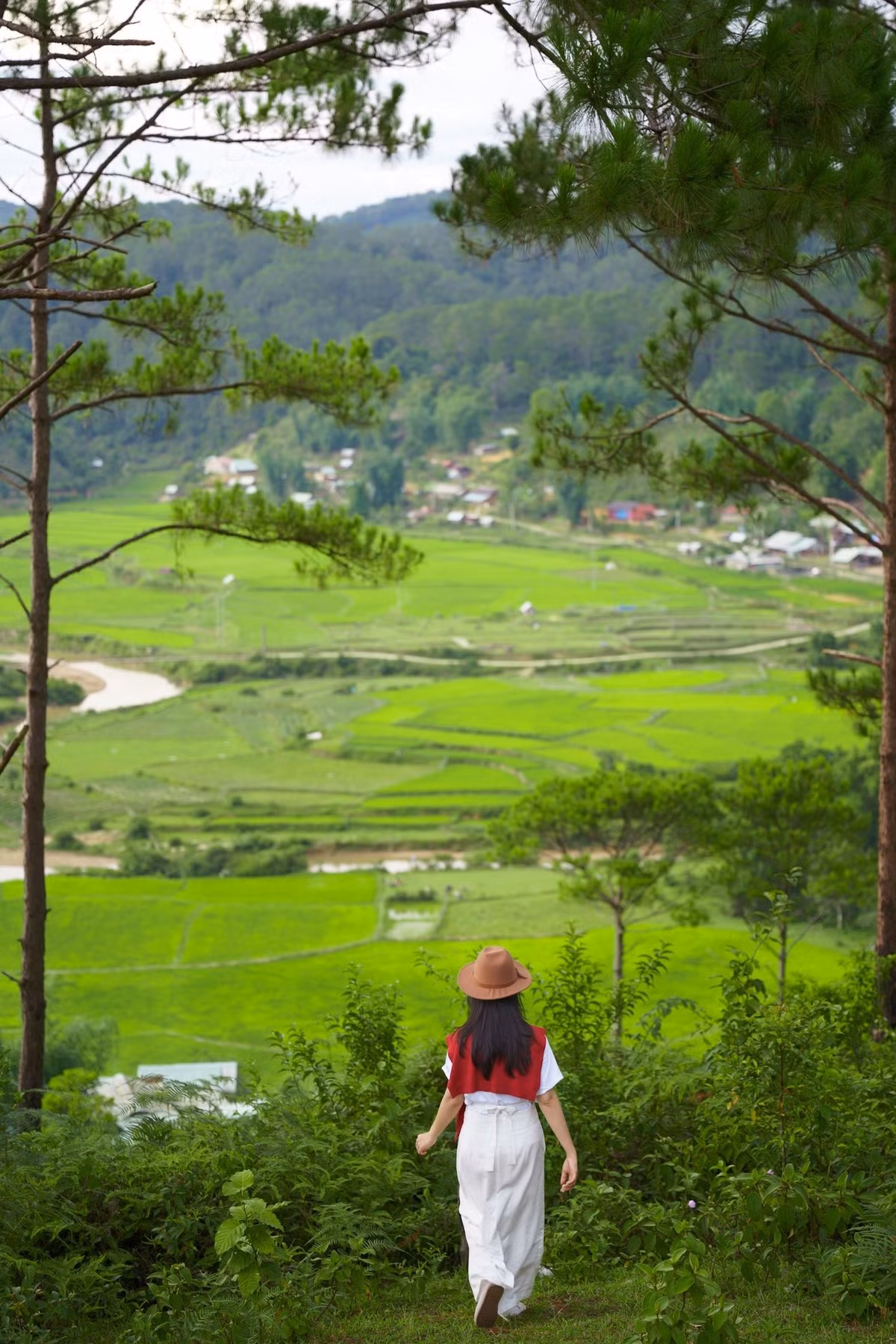 Không chỉ đẹp, nơi đây còn là điểm dừng chân lý tưởng cho những ai muốn tìm về sự bình yên. Ảnh Mangdenchill