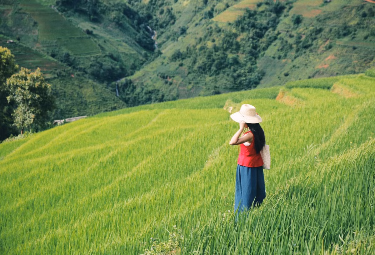 PYS Travel giới thiệu tour “Tây Bắc mùa xanh” kết hợp Xím Vàng và Tà Xùa, lý tưởng cho du khách trẻ yêu thiên nhiên, thích săn mây, sống chậm và chụp ảnh. Travelogy Vietnam cũng thiết kế tour riêng theo nhóm nhỏ, đưa du khách trải nghiệm trọn vẹn văn hóa bản địa với các hoạt động làm đồng, thêu tay và nấu ăn cùng người Mông. Ảnh Diệp Hữu Đạt