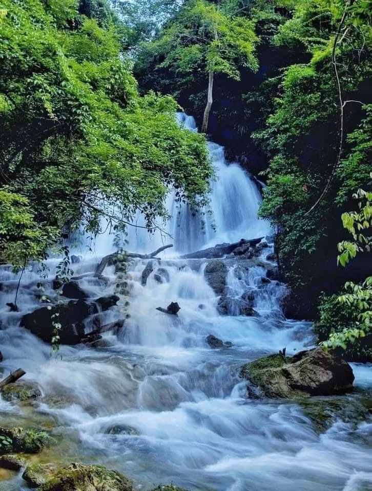 Nhiều nhóm bạn trẻ thường mang theo đồ ăn, dựng lều cắm trại ngay gần khu vực bãi đá ven suối, tận hưởng một đêm giữa rừng già với bầu trời đầy sao và tiếng côn trùng rả rích. Ảnh dulich