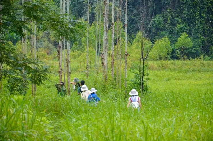 Dòng thác bắt nguồn từ dãy núi đá vôi, uốn lượn qua những tán rừng già rồi đổ xuống ghềnh đá, tạo thành dòng chảy trắng xóa và mát lành. Ảnh Thuỷ Nguyên