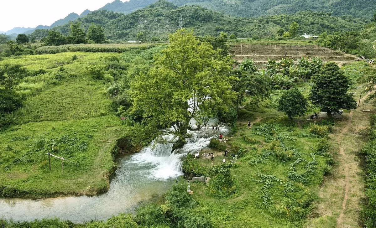 suoi-ban-mon4.jpg